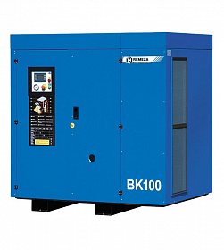 На сайте Трейдимпорт можно недорого купить Компрессор винтовой Remeza ВК100E-10. 